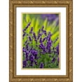 thumbnail image 1 of Sienda, Jolly 17x24 Gold Ornate Wood Framed with Double Matting Museum Art Print Titled - Sequim-Washington State-lavender field blooms, 1 of 4