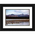 thumbnail image 1 of Sienda, Jolly 18x13 Black Ornate Wood Framed with Double Matting Museum Art Print Titled - Wrangell Mountains-Alaska-USA, 1 of 4