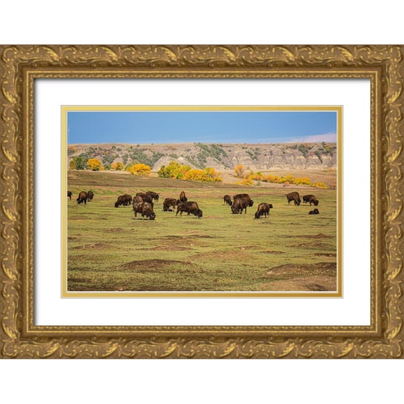 Sienda, Jolly 18x13 Gold Ornate Wood Framed with Double Matting Museum Art Print Titled - Theodore Roosevelt National Park-North Dakota-USA American Bison calves