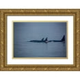 thumbnail image 1 of Sienda, Jolly 18x13 Gold Ornate Wood Framed with Double Matting Museum Art Print Titled - Kenai Fjords-Alaska-pod of Orca Killer Whales, 1 of 4