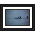 thumbnail image 1 of Sienda, Jolly 24x17 Black Ornate Wood Framed with Double Matting Museum Art Print Titled - Kenai Fjords-Alaska-pod of Orca Killer Whales, 1 of 4