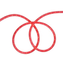 Sienna 102 ft. Indoor/Outdoor Christmas Rope Lights