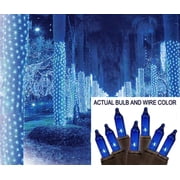 Sienna 2 x 8 Blue Incandescent Outdoor Christmas Net Lights