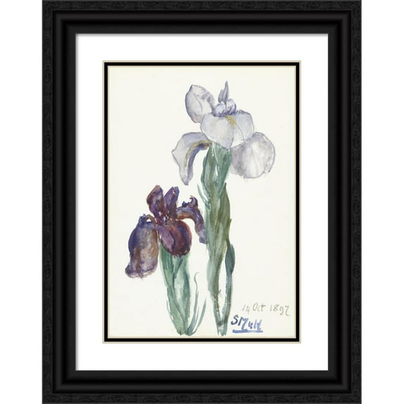 Sientje Mesdag Van Houten 14x18 Black Ornate Wood Framed Double Matted Museum Art Print Titled - Irissen (1897)