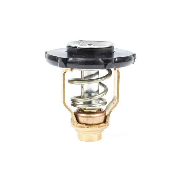 Sierra 18-3641 Thermostat