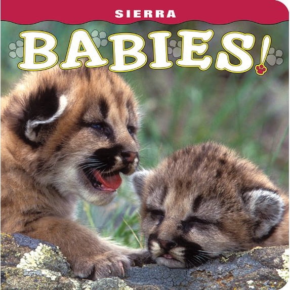 Pre-Owned Sierra Babies! (Board book) 1560375574 9781560375579