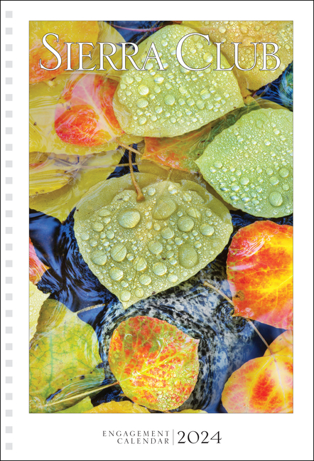 Sierra Club Wilderness Calendar 2025 - Inna Renata
