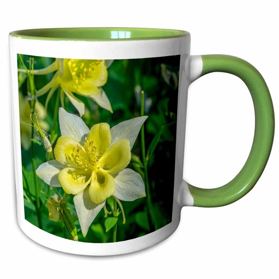 3drose, Sierra Columbine, 11oz Two-tone Green Mug