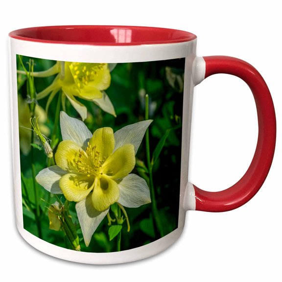 3drose, Sierra Columbine, 11oz Two-tone Red Mug