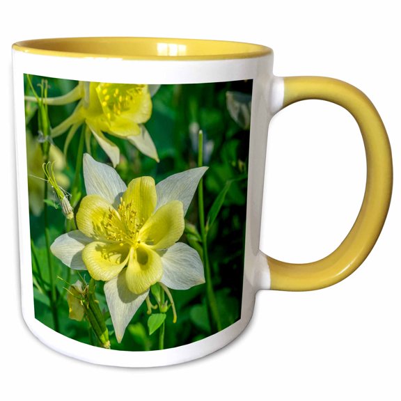 3drose, Sierra Columbine, 11oz Two-tone Yellow Mug