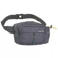 thumbnail image 1 of Sierra Designs Fanny Pack, Gray, 1 of 1