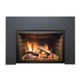 thumbnail image 1 of Sierra Flame ABBOT-30-PG-DELUXE-LP 30 in. Abbott Insert Direct Vent Gas Fireplace - Deluxe with Glass - Liquid Propane, 1 of 3