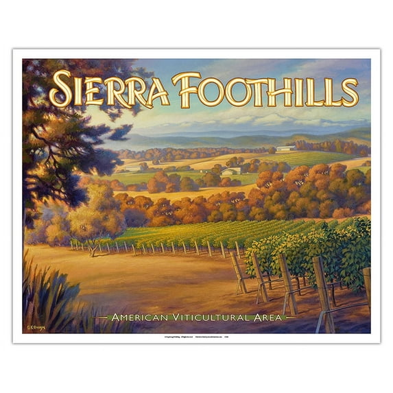 Sierra Foothills Wineries - Helwig Estate Winery - California Vineyards Wine Country Art by Kerne Erickson - Fine Art Matte Paper Print (Unframed) 16x20in