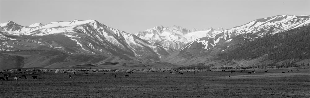 Sierra Mountains California Canvas Art - Panoramic Images (36 x 12)