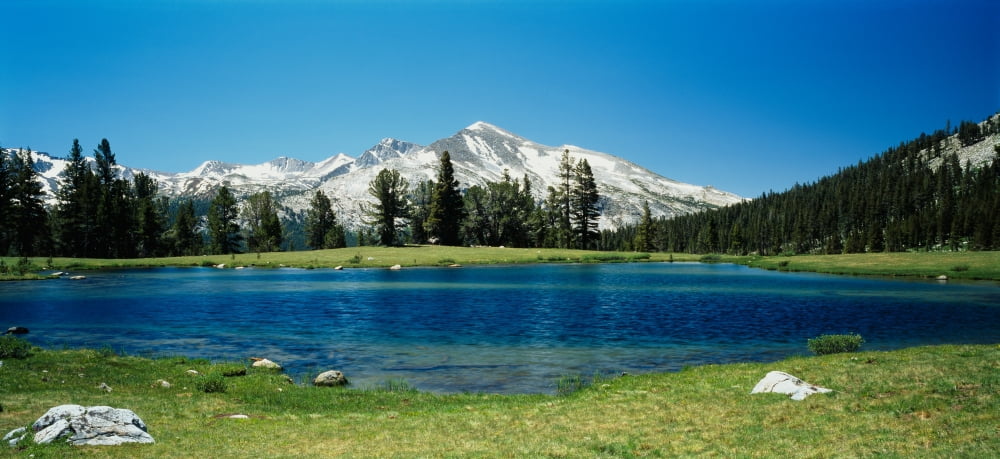 Sierra Nevada Mountains Yosemite National Park CA Canvas Art - Panoramic Images (27 x 9)