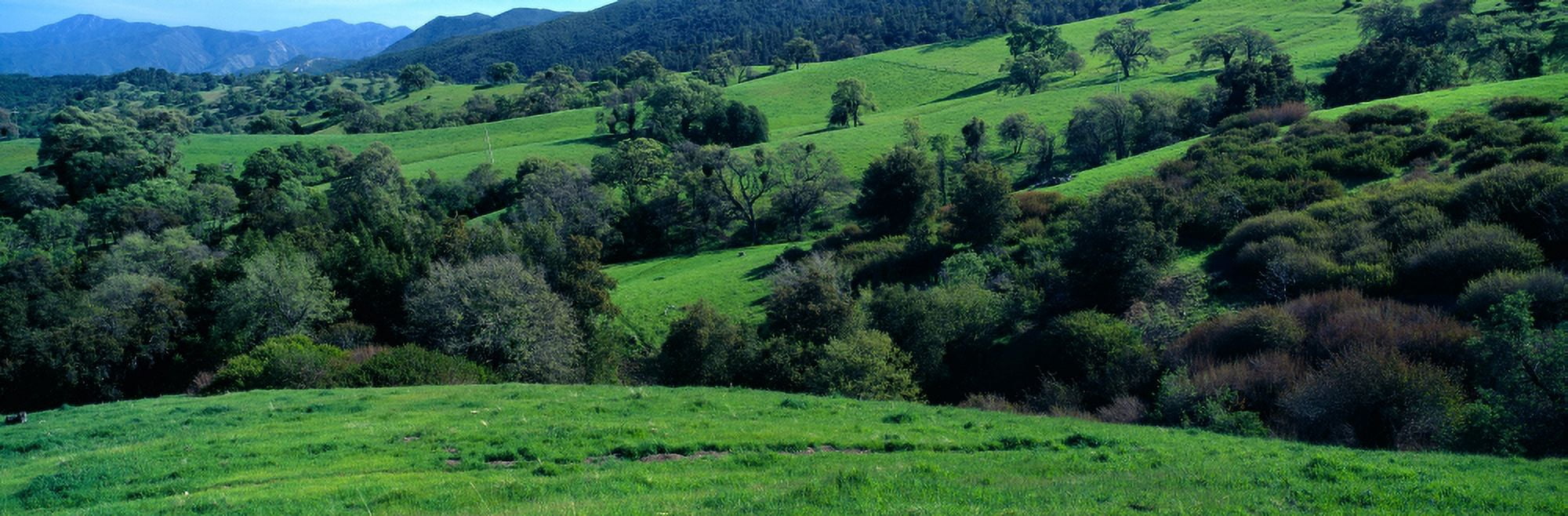 Sierra de Salinas Mountains Carmel Valley California Canvas Art - Panoramic Images (27 x 9)