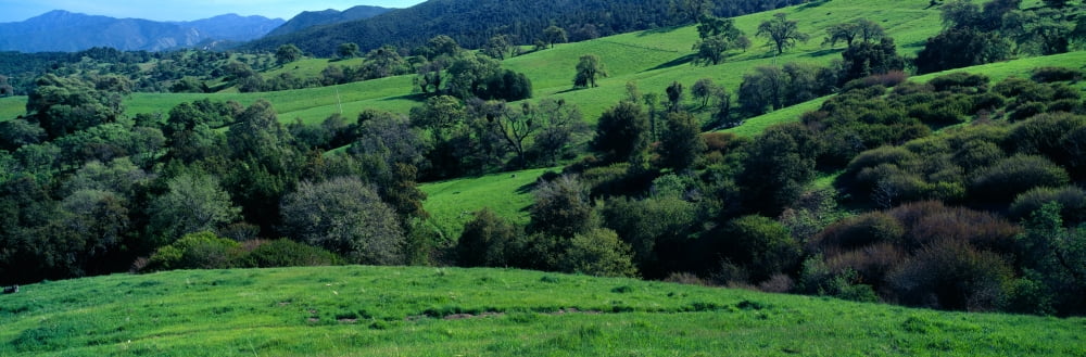 Sierra de Salinas Mountains Carmel Valley California Canvas Art - Panoramic Images (36 x 12)