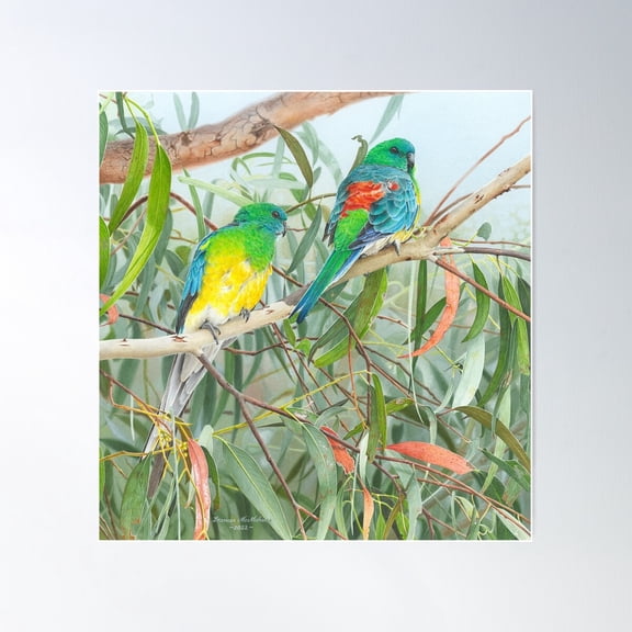 "Siesta" (Red-Rumped Parrots) Poster Wall Art, Modern Wall Decor For Living Room Bedroom, 17x17 UNFRAMED