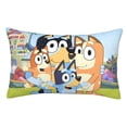 thumbnail image 1 of Sigee Bluey (21) for Pillow Cases Concealed Zipper Opening Soft Fabric - Shrinkage and Fade Resistant Pillow Covers (Pillow core not included),14"x20", 1 of 7