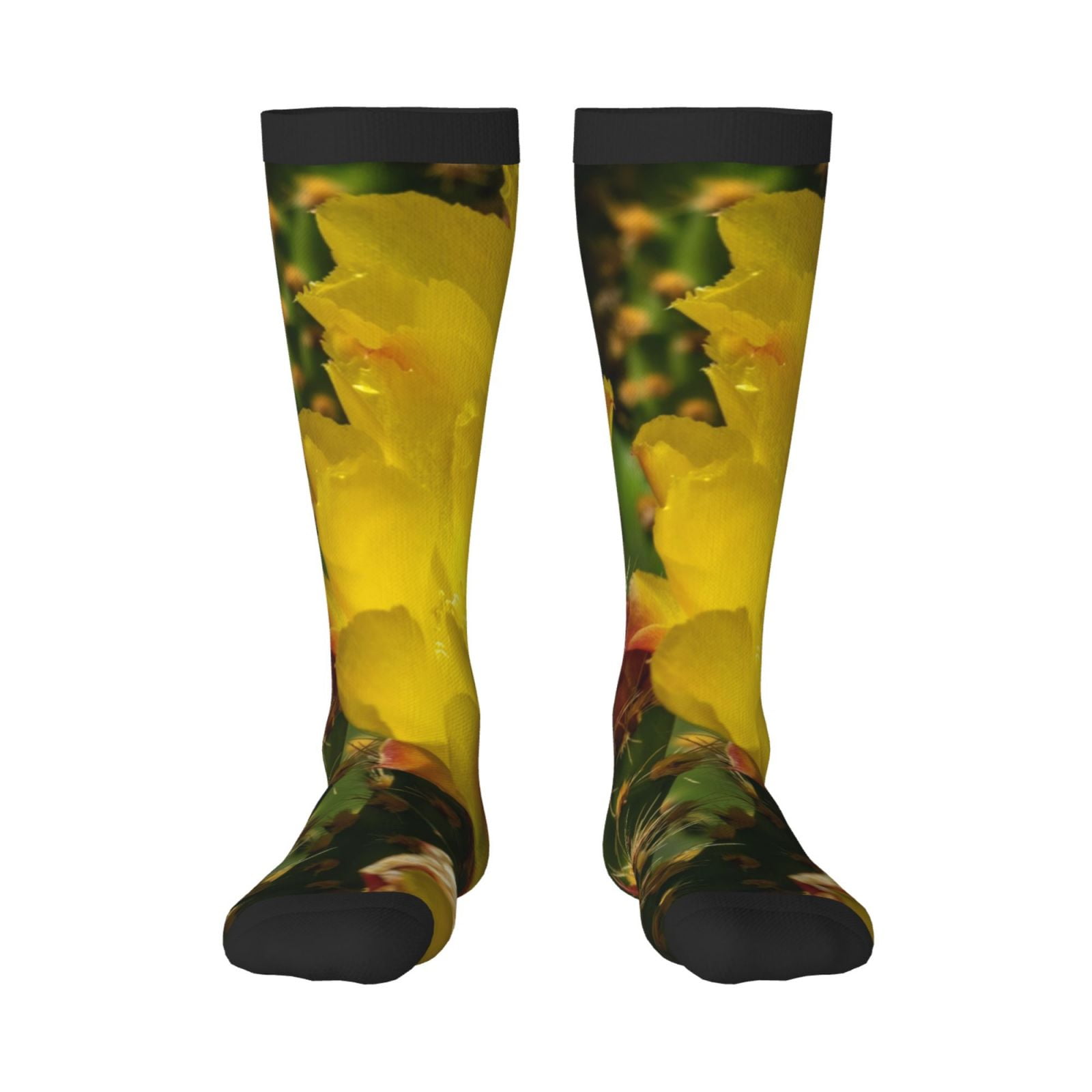 Sigee Cactus Flowers for Socks for Men Women Socks Stocking Compression