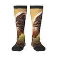 thumbnail image 1 of Sigee Country Farm Morning Rooster for Socks for Men Women Socks Stocking Compression Socks, 1 of 6
