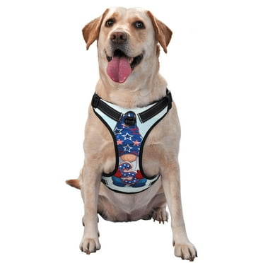 Sigee Cute Gnomes in USA1 for Adjustable Dog Harness for Small Medium Large Dogs,No Pull, Reflective, Breathable for Walking, Jogging-Small