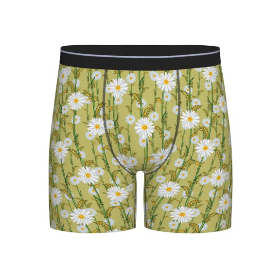 Sigee Daisies Flowers for Men's Boxer Briefs,Moisture Wicking and Breathable Medium
