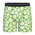 thumbnail image 1 of Sigee Daisies Flowers for Men's Boxer Briefs,Moisture Wicking and Breathable X-Large, 1 of 9