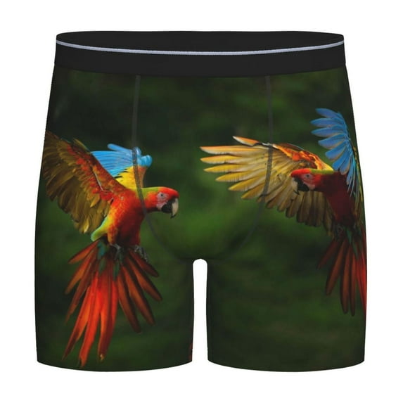 Sigee Hybrid Parrot in the Forest for Men's Boxer Briefs,Moisture Wicking and Breathable Small