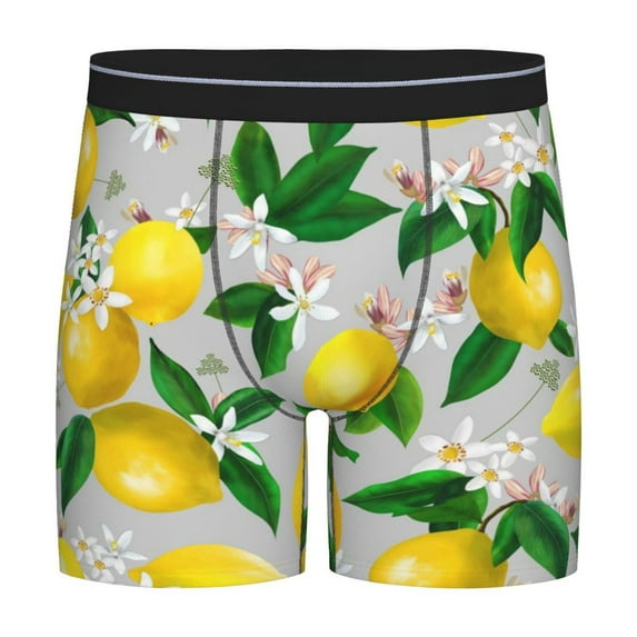 Sigee Lemon Seamless Pattern Oil Painting Effect for Men's Boxer Briefs,Moisture Wicking and Breathable XX-Large