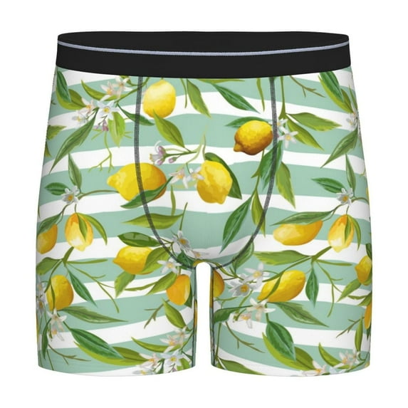 Sigee Lemon for Men's Boxer Briefs,Moisture Wicking and Breathable Large