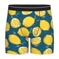 thumbnail image 1 of Sigee Lemon for Men's Boxer Briefs,Moisture Wicking and Breathable X-Large, 1 of 9