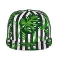 thumbnail image 1 of Sigee Palm Greenery Print Men Women Fashion Baseball Cap,Unisex-Adults,Classic Adjustable Plain Hat, 1 of 9