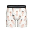 thumbnail image 1 of Sigee Poodle Dog for Men's Boxer Briefs,Moisture Wicking and Breathable Medium, 1 of 9