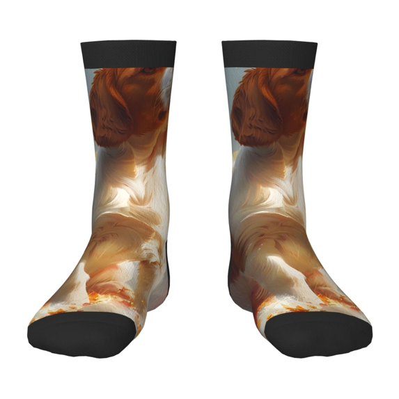 Sigee Rainbow English Cocker Spaniel for Premium Children's Socks Unisex School Kids Boys Girls,Soft and Comfy Kids' Socks