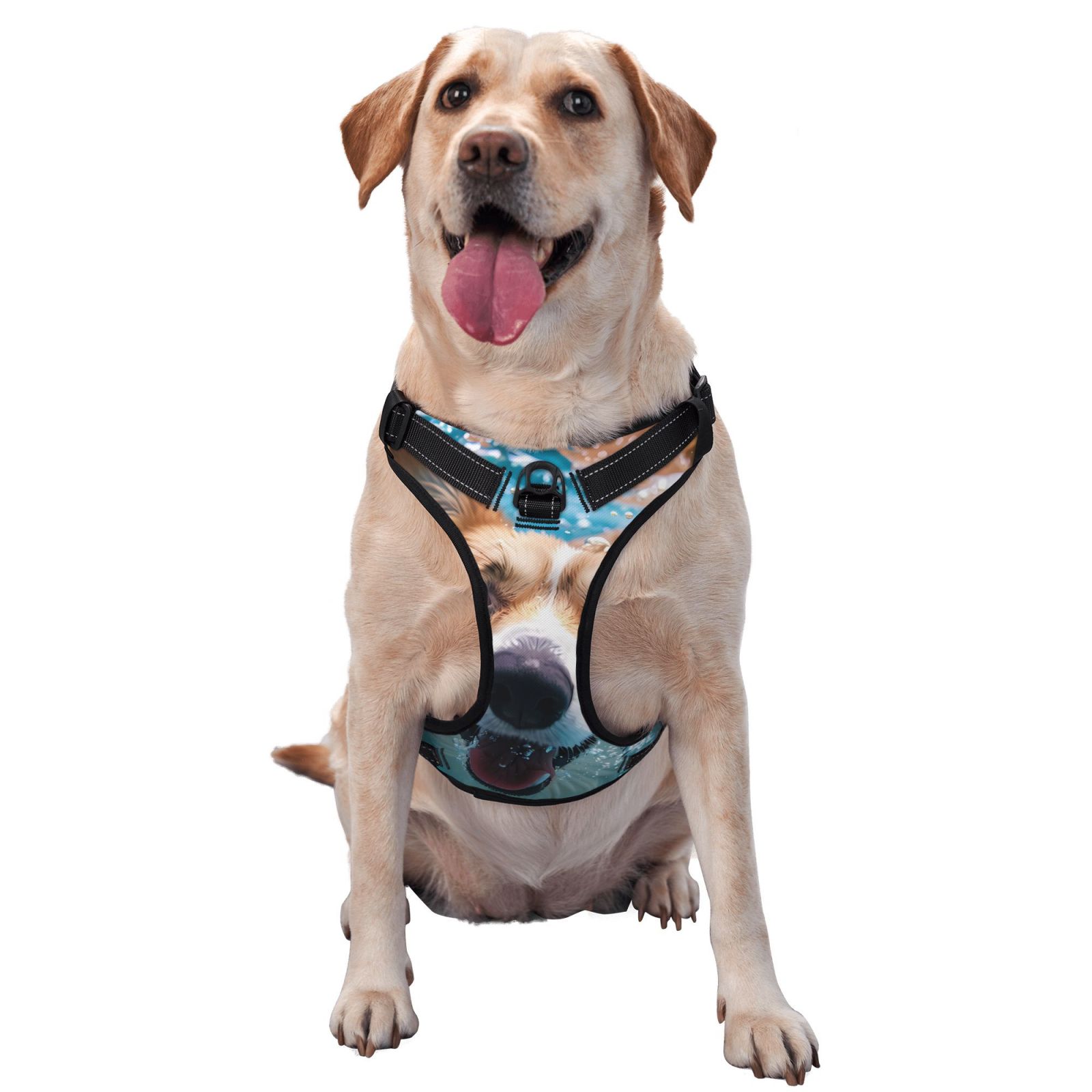 Dog swimming harness online