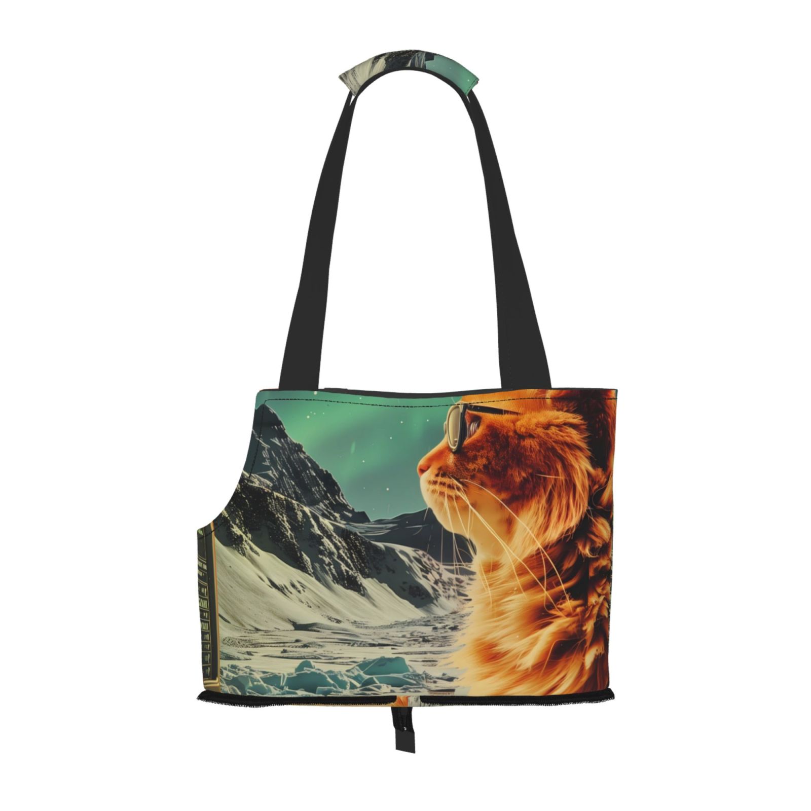 Sigee Space Adventurer Cat for Pet Carrier Bag for Puppy with Pockets