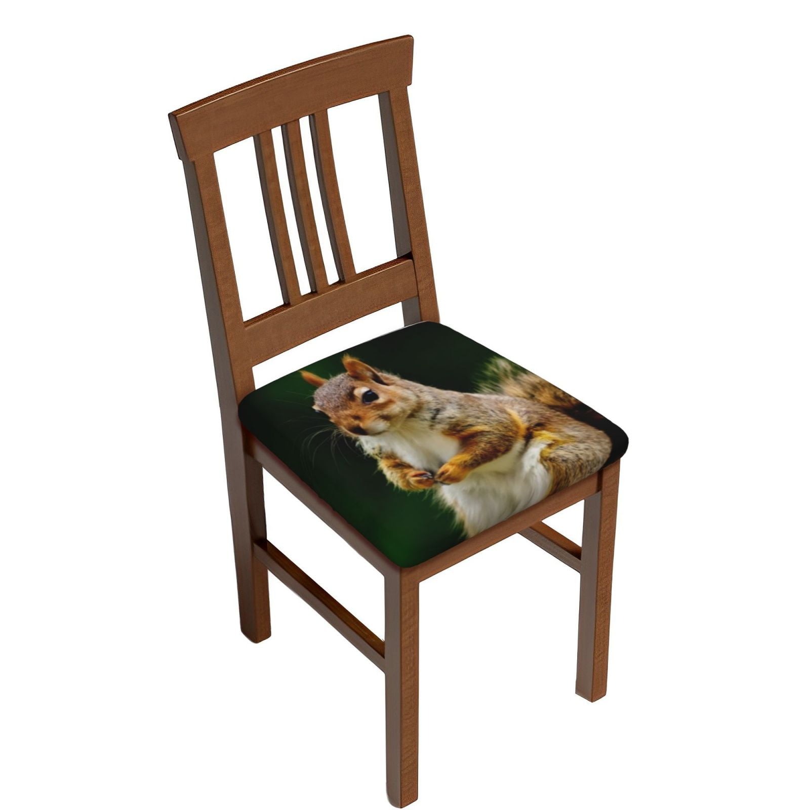 Sigee Squirrels Eating Peanuts On The Tree for Square Chair Cushion