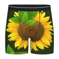thumbnail image 1 of Sigee Sunflower3 for Men's Boxer Briefs,Moisture Wicking and Breathable Medium, 1 of 9