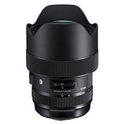 Sigma 14-24mm f/2.8 DG DN Art Zoom Lens for Sony Alpha FE E-Mount Cameras