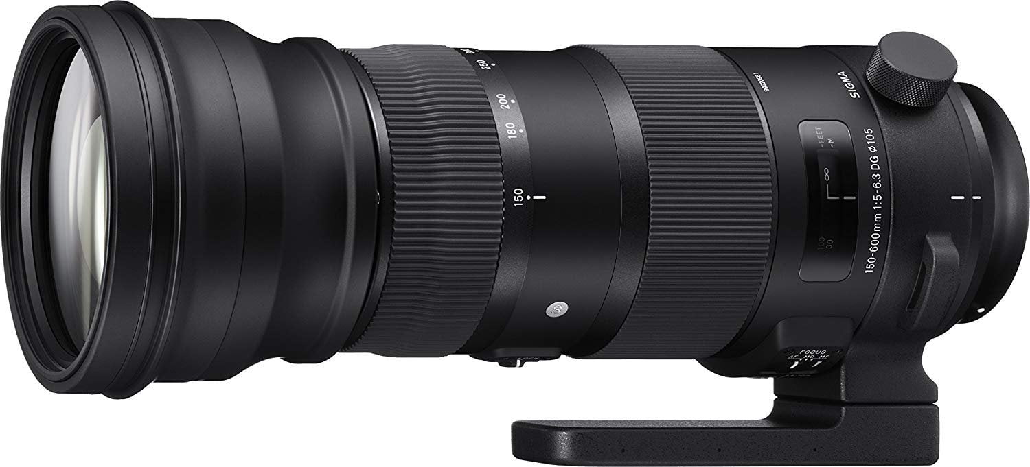 Sigma 150-600mm f5.0-6.3 Sports DG OS HSM Zoom Lens Panama | Ubuy