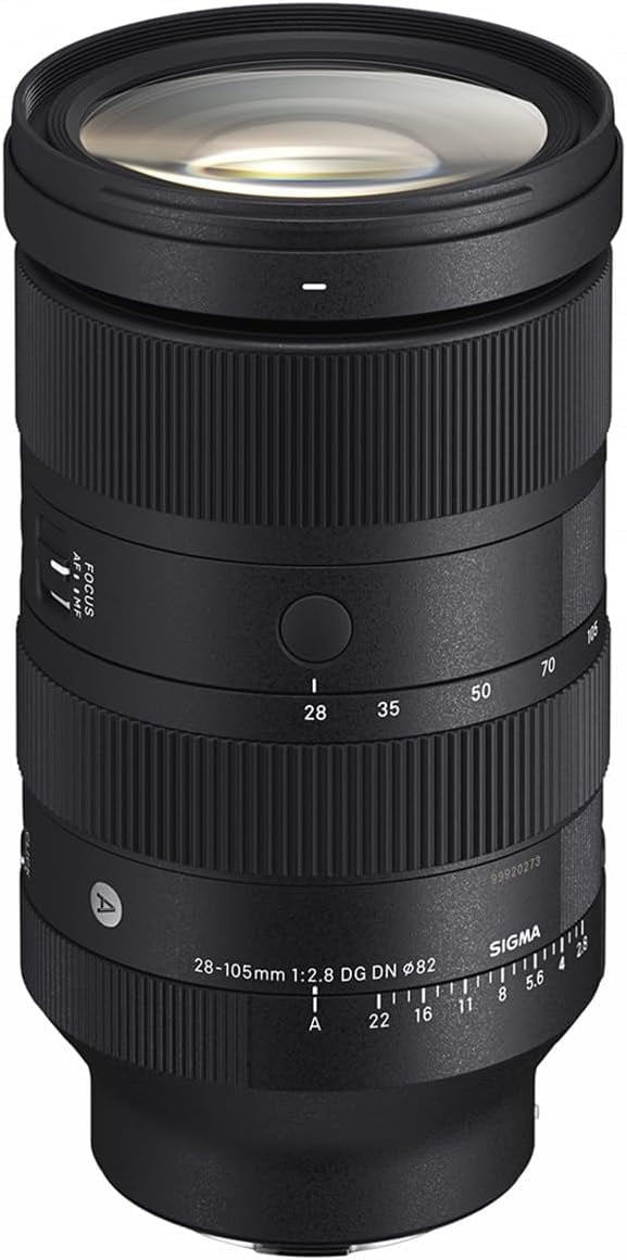 28-105mm F2.8 DG DN for Sony Mount - Walmart.com