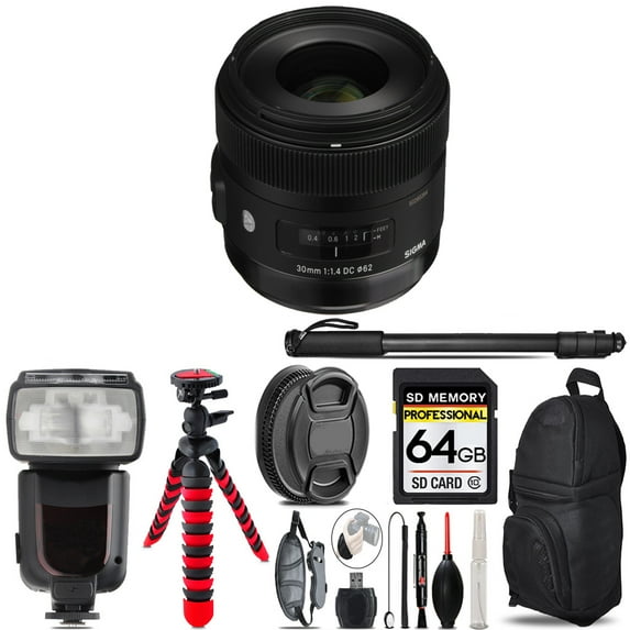 Sigma 30mm f/1.4 DC HSM Art Lens for Sony A - 64GB Accessory Kit (International Version)