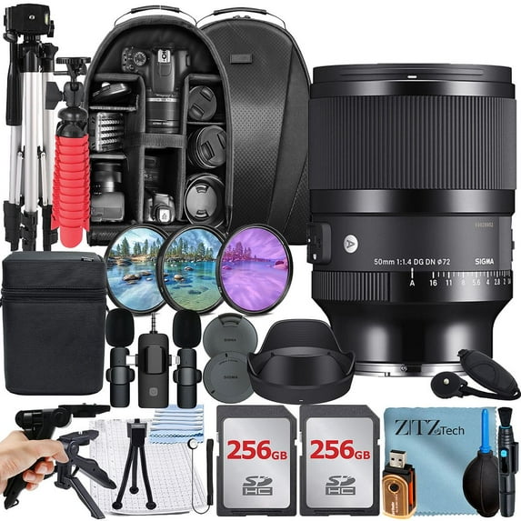 Sigma 50mm f/1.4 DG DN Art Lens for Sony E Mount Bundle with 2 Pack 256GB Memory Card + Case + Filter Kit + ZeeTech Accessory Bundle