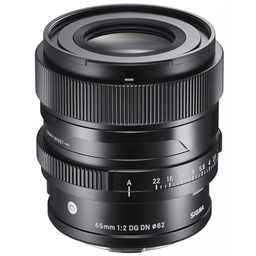Sigma 65mm f/2 DG DN Contemporary Lens for Leica L 353969 B&H