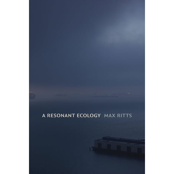 Sign, Storage, Transmission A Resonant Ecology, (Hardcover)