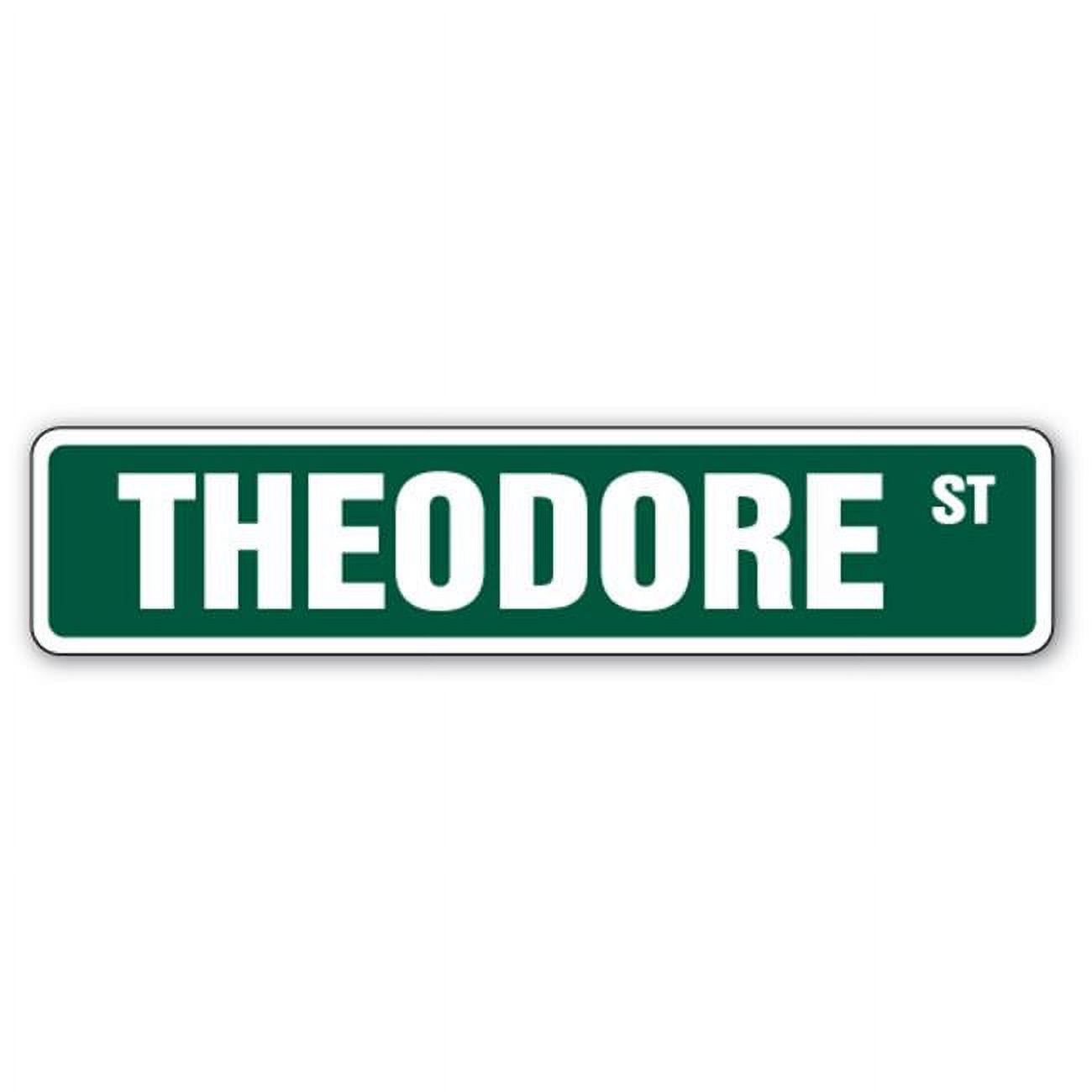 SignMission 4 x 18 in. Theodore Street Sign