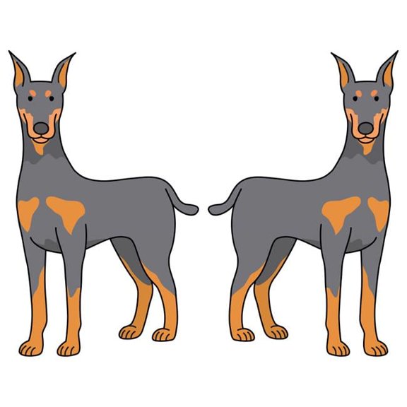 SignMission 6 in. Super Cute Dog Decal - Doberman Pinscher - Pack of 2