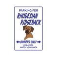 thumbnail image 1 of SignMission 8 x 12 in. Rhodesian Ridgeback Decal - Dog Pet Decals - Hound Vet Groomer, 1 of 4
