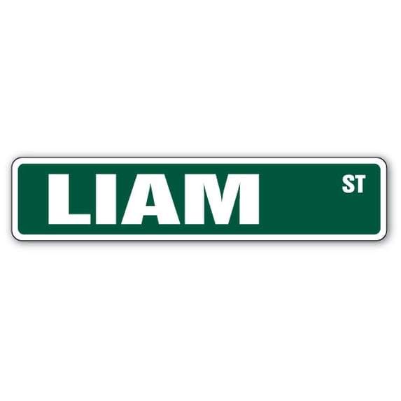 SignMission A-24-SS-LIAM 6 x 24 in. Childrens Name Room Aluminum Street Sign - Liam